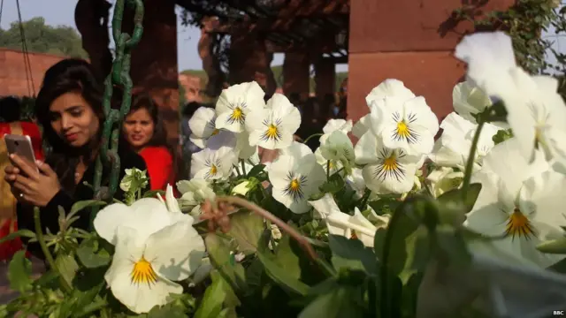 ਮੁਗਲ ਗਾਰਡਨ