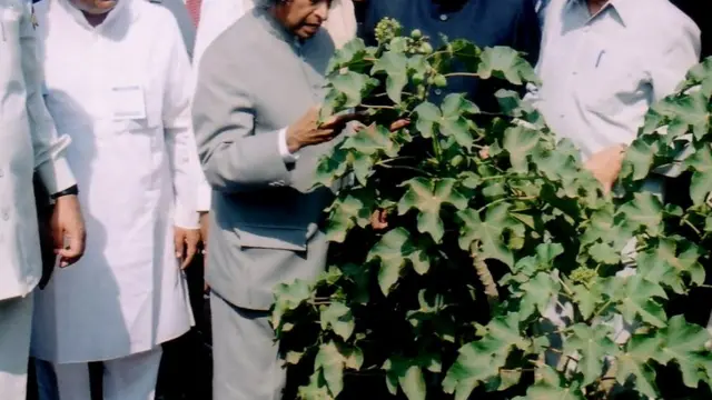 2006 में राष्ट्रपति एपीजे अब्दुल कलाम को के हाथों रतनजोत लगवाया गया