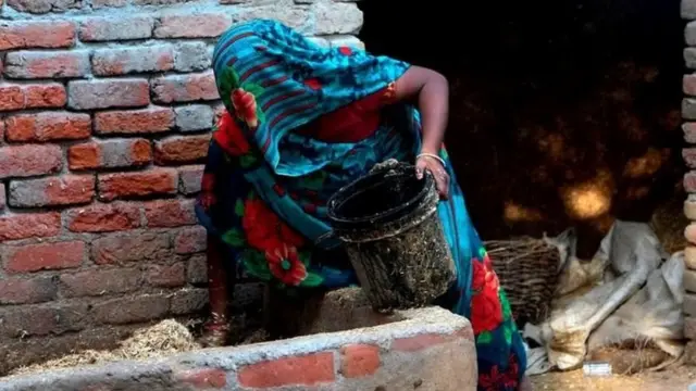 પ્રતીકાત્મક તસવીર