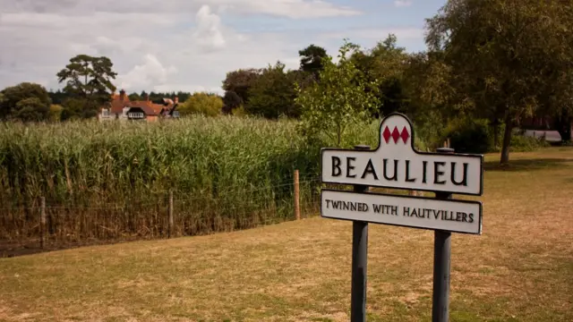 Дорожный знак "Бьюли"