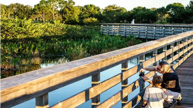 Grand-père et petit-fils