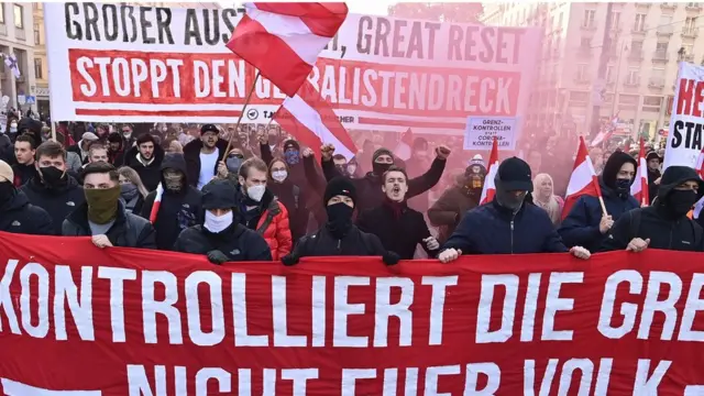 Protestas en Viena