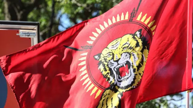 புலிகள்