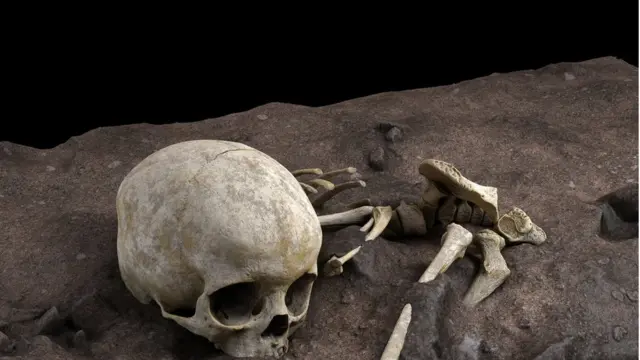 Wanasayansi walilazimika kulifunga jaburi lote ili kuhifadhi mpangilio wa mifupa yake