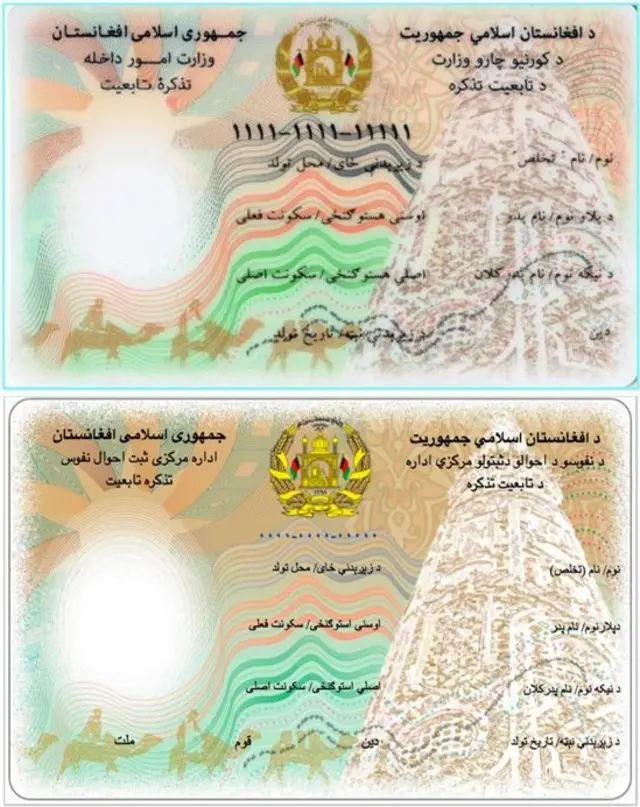 شناسناسنامه‌های الکترونیکی