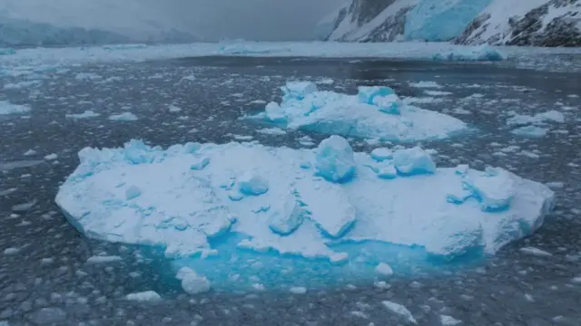 Лед