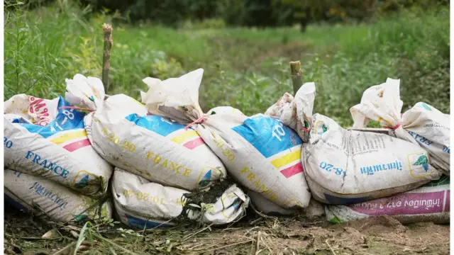 Tappanai Boonbandit/BBC thai