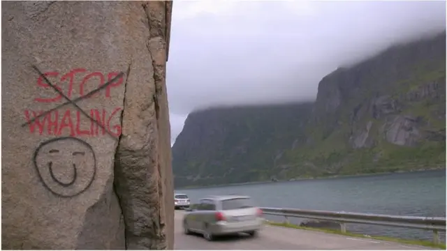 полювання на дельфінів