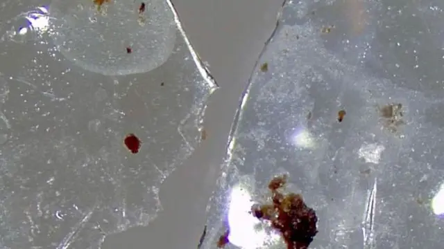 하수 진흙에서 회수된 콘택트렌즈