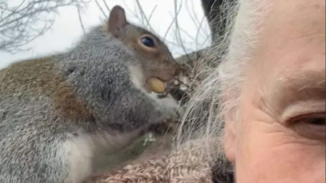 білка
