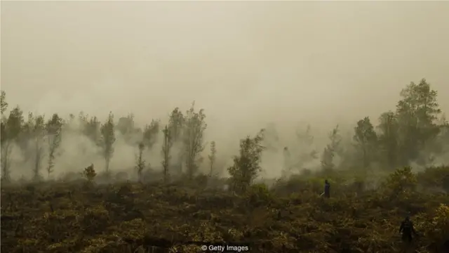 由于有类似农业土地清理这样的做法,污染在农村造成的死亡人数甚至比城市还要多 (Credit: Getty Images)