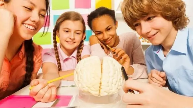 مغز نوجوانان به اندازه مغز یک انسان بالغ رشد نکرده