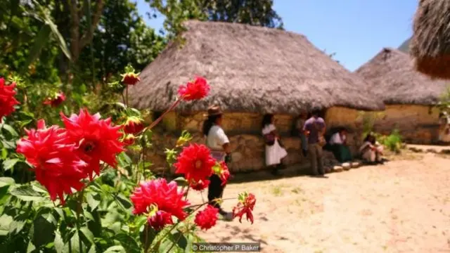 प्रकृति