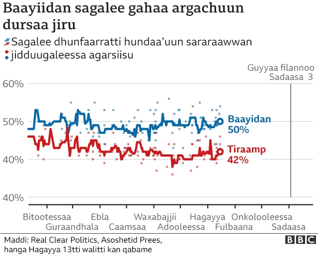 Qabxii jarri lamaan argataa jiran