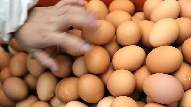 अंडे का ज़ोर