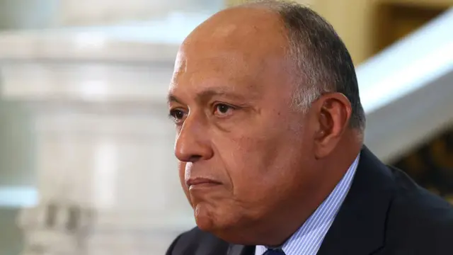 سامح شكري
