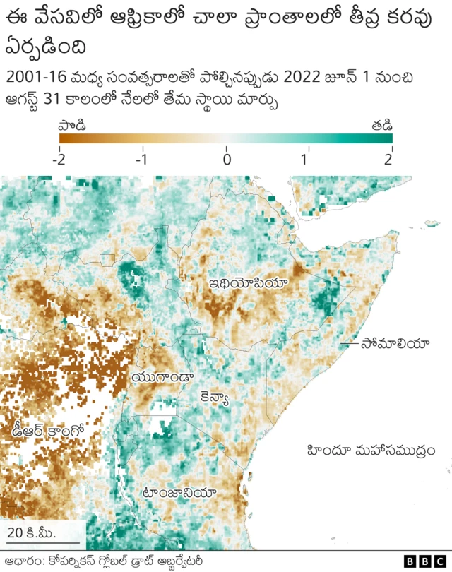 చైనా, యూరప్, అమెరికాలో కరవు: 2022 చరిత్రలో అత్యంత పొడి సంవత్సరమా?