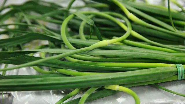 стрілки часнику