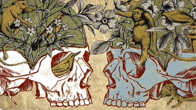 صيغ مصطلح "التنوع العصبي" لوصف جميع الأدمغة البشرية المتنوعة، كما يصف مصطلح "التنوع الحيوي" تنوع جميع الكائنات الحية على سطح الأرض