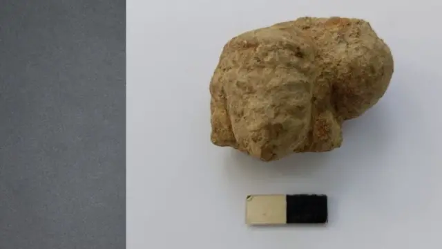 கொந்தகையில் கிடைத்துள்ள டெரகோட்டா பொம்மைகளின் தலைப்பகுதிகள்.