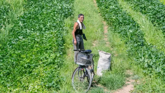 Agricultor norte-coreano