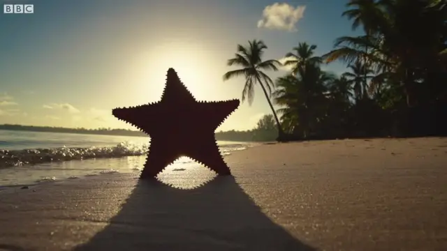 పర్యాటకం, పాస్‌పోర్టు, పౌరసత్వం