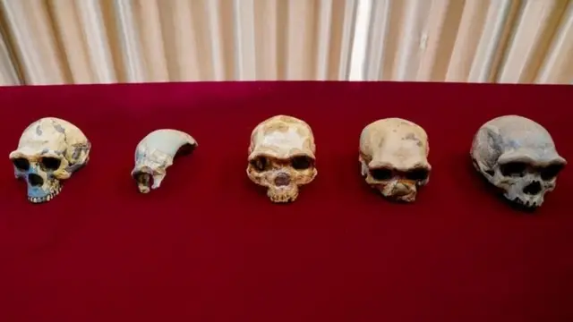 د ښامار سړي د سر کوپړۍ