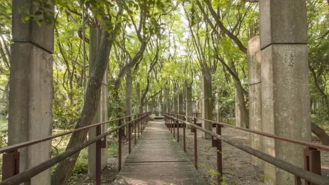 Parque da Juventude