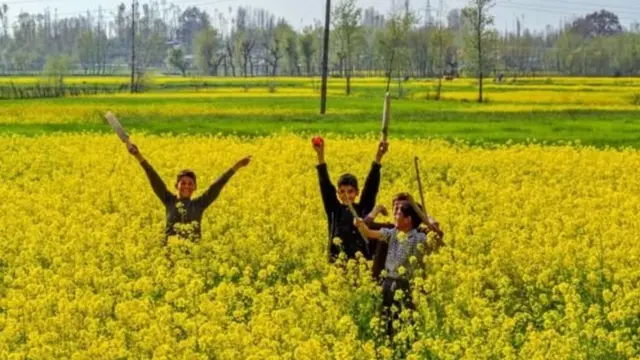 பூக்கள் தோட்டத்தில சிறுவர்கள்