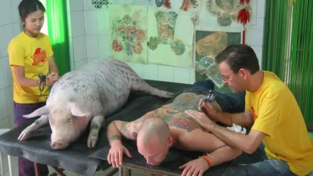 Tim Steiner akichorwa