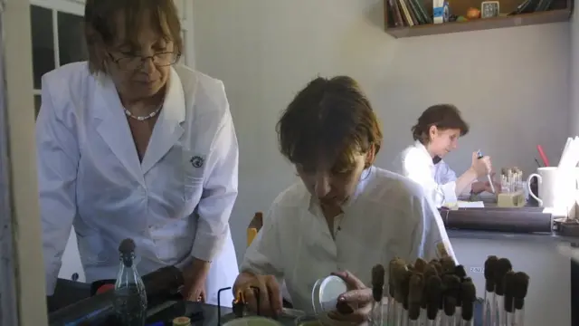 Après la chute de l'Union soviétique, l'Institut Eliava a poursuivi ses recherches sur les capacités de lutte contre la maladie des bactériopages