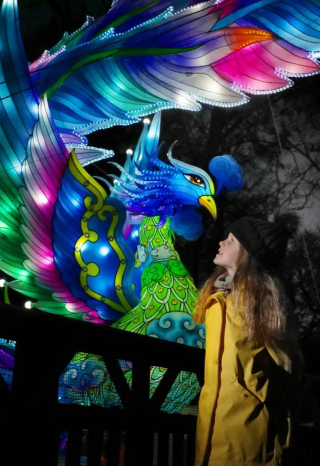 فانوس پرنده