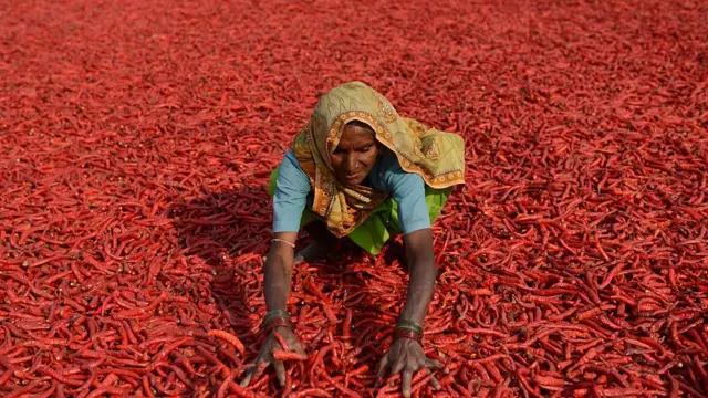 ગુજરાતમાં માથાદીઠ ખેડાણલાયક જમીન એક એકર કરતાં પણ ઓછી