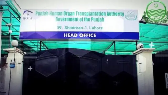 اعضا کی پیوند کاری کا نگراں ادارہ