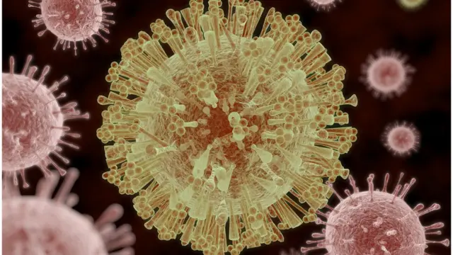 జికా వైరస్ ఊహాచిత్రం