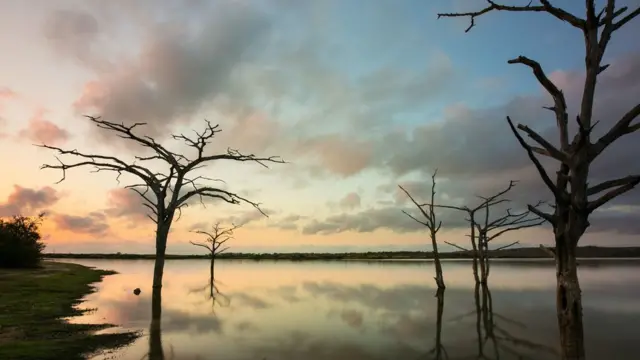 національний парк в Танзанії
