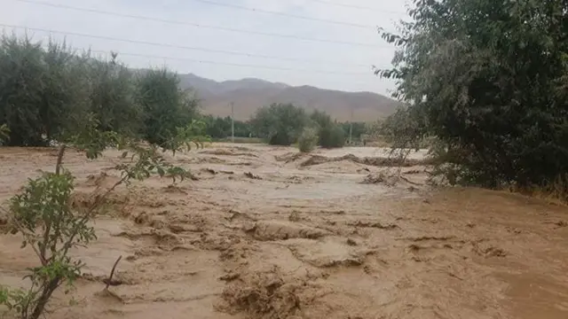 وردګو کې سېلاب