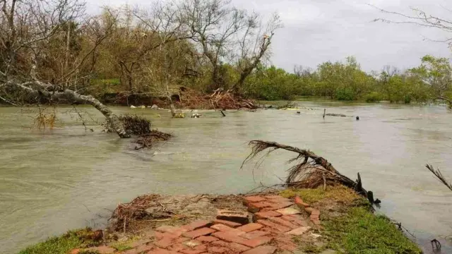 सुंदरबन