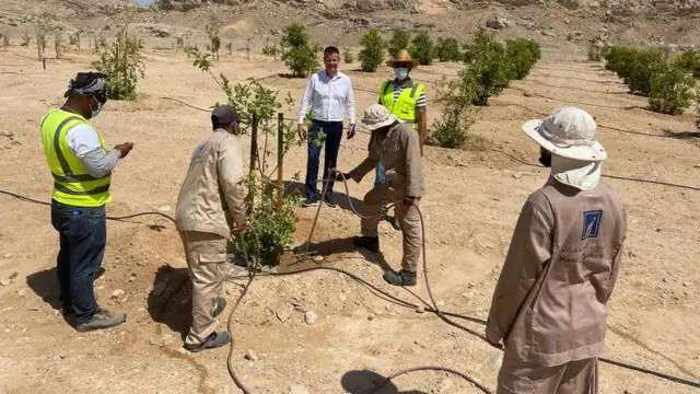 दुबई, वाळवंट