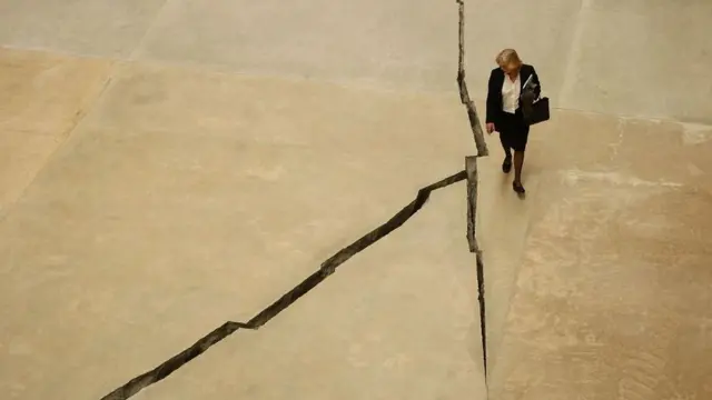Salcedo es muy reconocida en Reino Unido por una obra que creó en la Tate Modern de Londres que consistía en una larga grieta de 167 metros de largo en el piso.