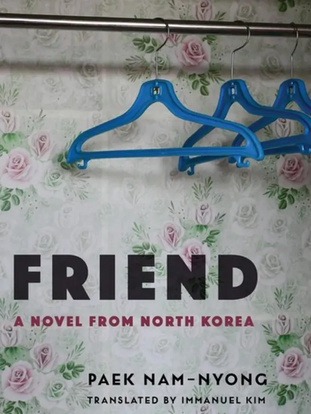 Tapa novela "Friend"