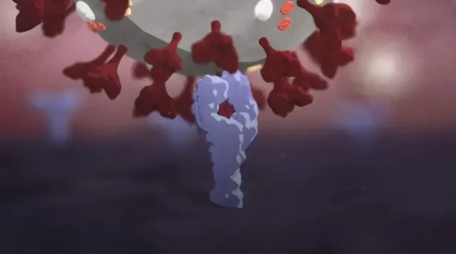 กราฟิกการ์ตูนปุ่มโปรตีนยึดเกาะกับเซลล์