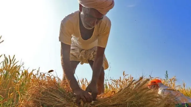 வேளாளர்