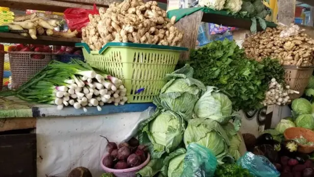 Mkpụrụ osisi ụfọdụ a na-atụbata