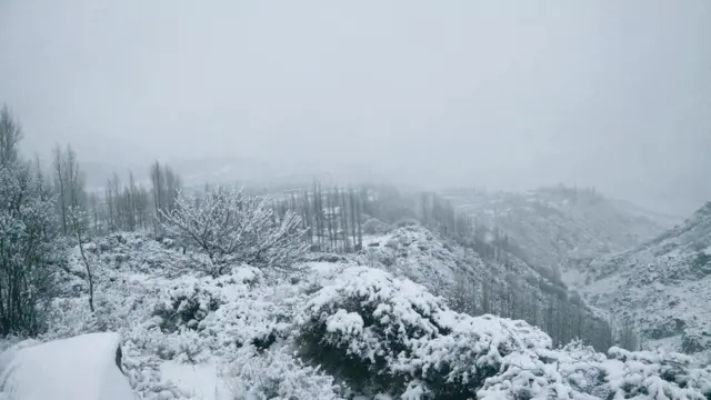 گوجال، برفباری