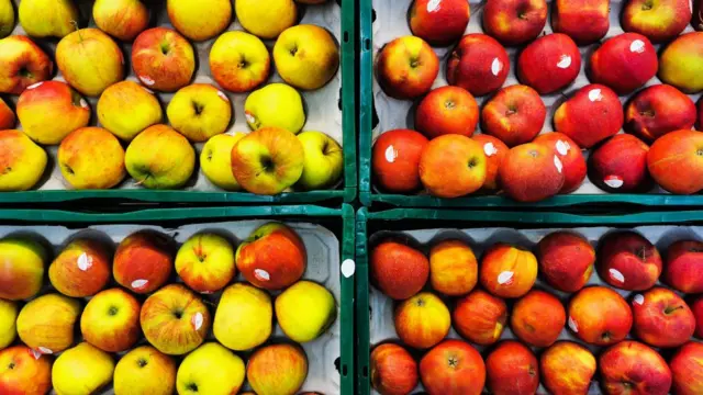 Польские яблоки