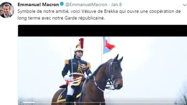 法国送给中国的国礼——八岁的共和国卫队骏马“维苏威”