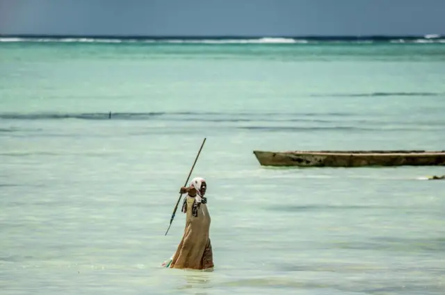 اوکٹوپس کا ایک شکاری