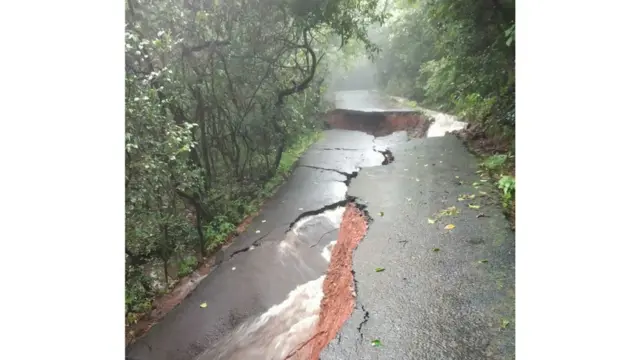 महाबळेश्वरमधील लिंगमळा रस्ता