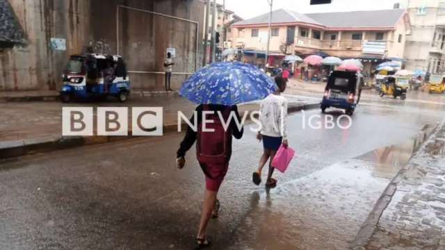 Ụmụakwụkwọ na-aga akwụkwọ n'Ọka